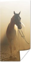Poster Paard - Licht - Zand - 75x150 cm
