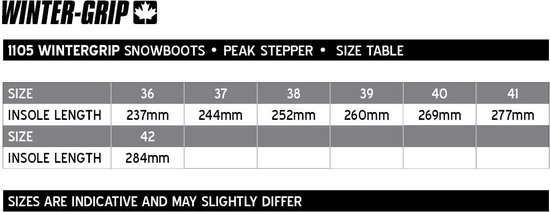Winter-grip Snowboots - Peak Stepper - Maat 41 - Winter-grip