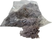 Rendiermos, mos lavendelblauw 100 gram. Geschikt voor decoraties, mosschilderijen, moswanden, bloemstukjes