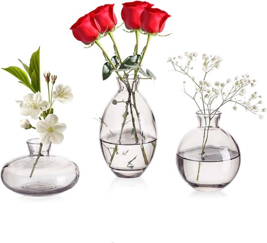Vazen set van 3 kleine bloemenvazen, modern, van kristalgrijs, mini-vazen, glazen flesjes, decoratieve glazen vaas, decoratie voor tafelmidden, boeken, bruiloft, doop, verjaardag, cadeau voor