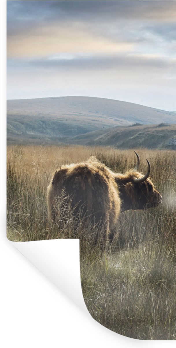 Muurstickers - Sticker Folie - Schotse Hooglanders - Mist - Gras - 40x80 cm - Plakfolie - 