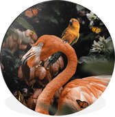 WallCircle - Wandcirkel - Muurcirkel - Flamingo - Jungle - Papegaai - Aluminium - Dibond - ⌀ 60 cm - Binnen en Buiten