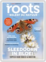 Roots editie 3 2024 - De lente is in aantocht! - 100 pagina's