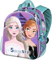 Disney Frozen 2 Rugzak - Elsa & Anna rugtas Lila - 39x31x15cm - Reistas Frozen - Schooltas Groot - 18 Liter