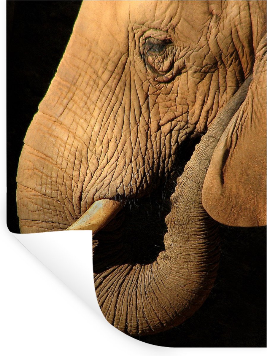 Muurstickers - Sticker Folie - Olifant - Dieren - Close up - Zwart - 90x120 cm - Plakfolie