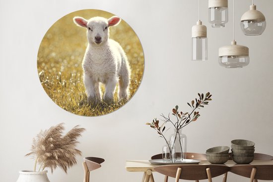 WallCircle - Wall Circle - Wall Circle Indoor - Mouton - Herbe - Soleil - 120x120 cm - Décoration murale - Peintures Ronds XXL
