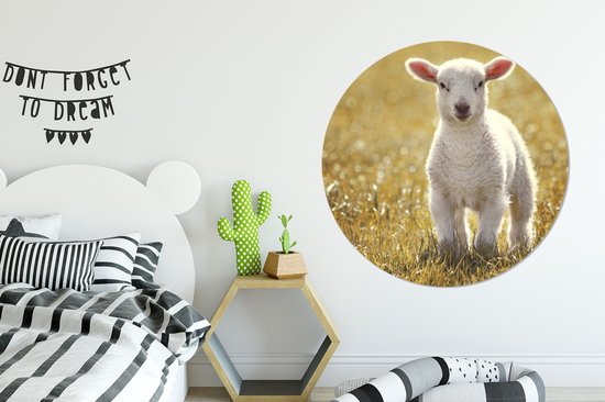 WallCircle - Wall Circle - Wall Circle Indoor - Mouton - Herbe - Soleil - 120x120 cm - Décoration murale - Peintures Ronds XXL
