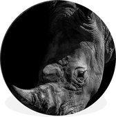 WallCircle - Wandcirkel - Muurcirkel - Close-up neushoorn op zwarte achtergrond in zwart-wit - Aluminium - Dibond - ⌀ 30 cm - Binnen en Buiten