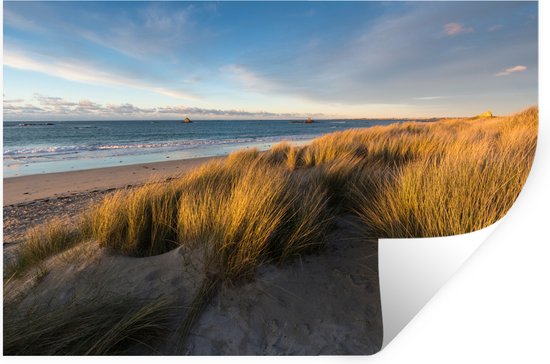 Stickers Stickers muraux - Dune - Plage - Mer - 120x80 cm - Film adhésif