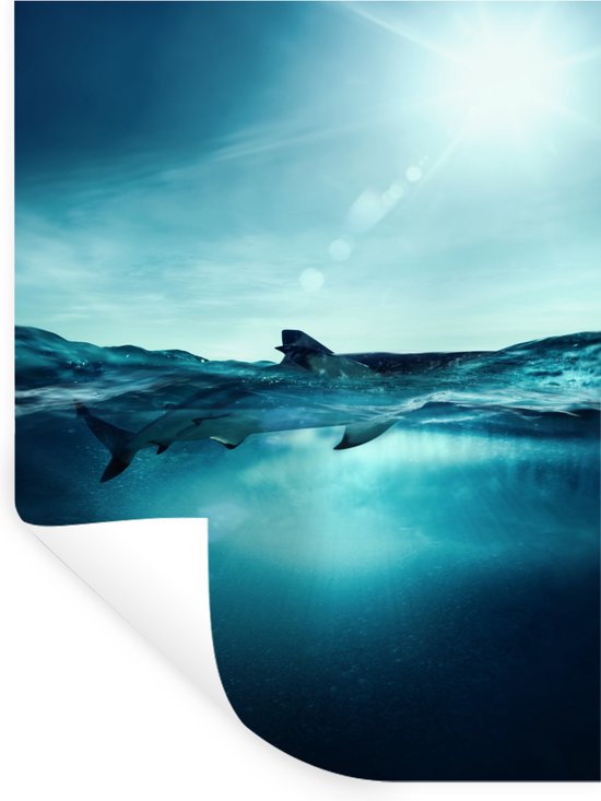 Stickers muraux - Film autocollant - Mer - Requin - Blauw - 60x80 cm - Film adhésif - Stickers muraux Chambre d'enfant - Papier peint autocollant