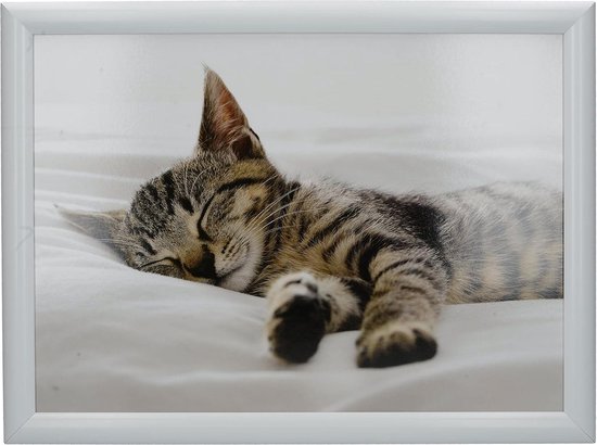 Kitten schootdienblad met kussen, beanbag gevoerd, 44 x 34 cm, meerkleurig