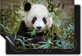 Chefcare Inductie Beschermer Panda Eet Planten - 78x52 cm - Afdekplaat Inductie - Kookplaat Beschermer - Inductie Mat