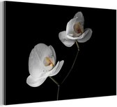 Wanddecoratie Metaal - Aluminium Schilderij Industrieel - Orchidee - Bloemen - Zwart - Wit - Stilleven - 30x20 cm - Dibond - Foto op aluminium - Industriële muurdecoratie - Voor de woonkamer/slaapkamer