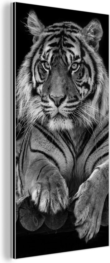 Wanddecoratie Metaal - Aluminium Schilderij Industrieel - Sumatraanse tijger op zwarte achtergrond in zwart-wit - 20x40 cm - Dibond - Foto op aluminium - Industriële muurdecoratie - Voor de woonkamer/slaapkamer