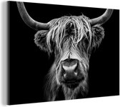 Wanddecoratie Metaal - Aluminium Schilderij Industrieel - Schotse Hooglander - Horens - Zwart - Wit - Koe - Wild - Dieren - 150x100 cm - Dibond - Foto op aluminium - Industriële muurdecoratie - Voor de woonkamer/slaapkamer