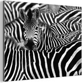 Wanddecoratie Metaal - Aluminium Schilderij Industrieel - Zebra zwart-wit fotoprint - 160x120 cm - Dibond - Foto op aluminium - Industriële muurdecoratie - Voor de woonkamer/slaapkamer
