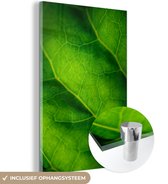 MuchoWow® Glasschilderij 20x30 cm - Schilderij acrylglas - Groene kleuren van een botanisch blad - Foto op glas - Schilderijen