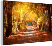 Wanddecoratie Metaal - Aluminium Schilderij Industrieel - Een bospad in de herfst - 120x80 cm - Dibond - Foto op aluminium - Industriële muurdecoratie - Voor de woonkamer/slaapkamer