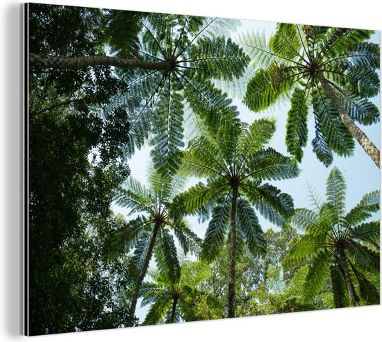 Wanddecoratie Metaal - Aluminium Schilderij Industrieel - Bomen en bladeren in jungle - 120x80 cm - Dibond - Foto op aluminium - Industriële muurdecoratie - Voor de woonkamer/slaapkamer