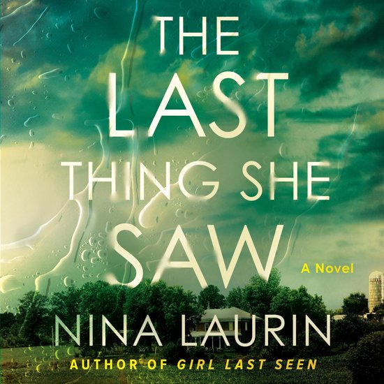 The Last Thing She Saw - cover