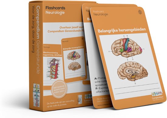 Flashcards Neurologie