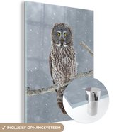 MuchoWow® Glasschilderij 30x40 cm - Schilderij acrylglas - Uil in de sneeuw - Foto op glas - Schilderijen
