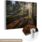 MuchoWow® Glasschilderij 120x80 cm - Schilderij acrylglas - Bos - Zon - Mist - Foto op glas - Schilderijen