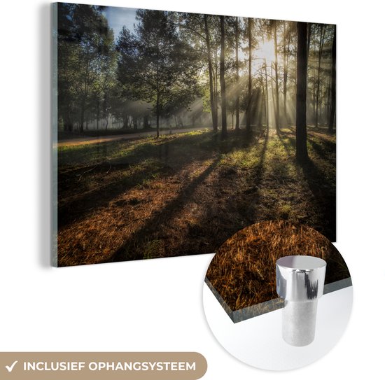 MuchoWow® Peinture sur Verre - Forêt - Soleil - Brouillard - 120x80 cm - Peintures sur Verre Acrylique - Photo sur Glas