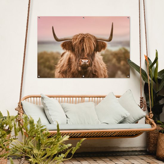 Affiche de jardin Vache - Highlander écossais - Animal - 120x80 cm - Jardin