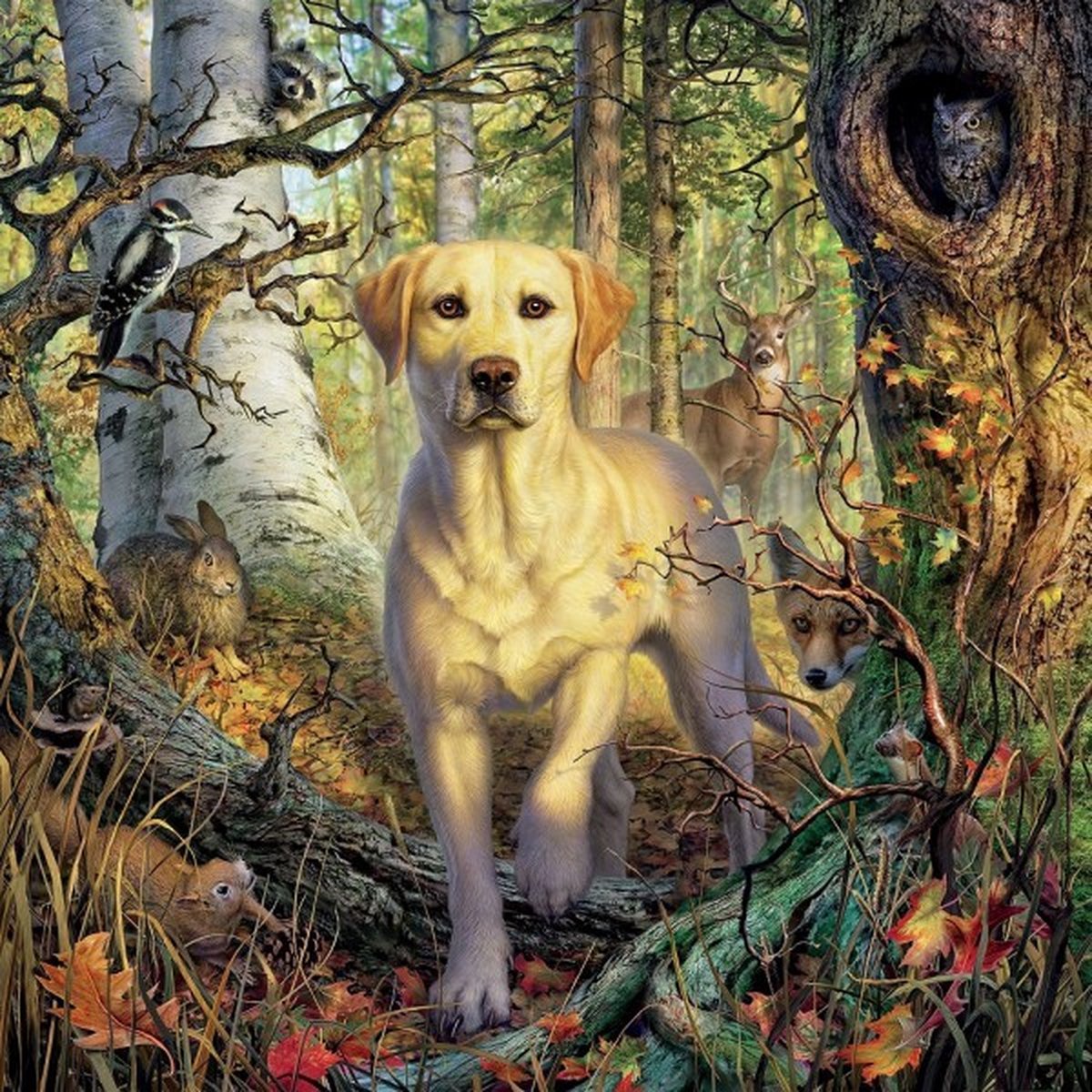 Diamond Painting Set Dog 40x30cm Full size ronde steentjes