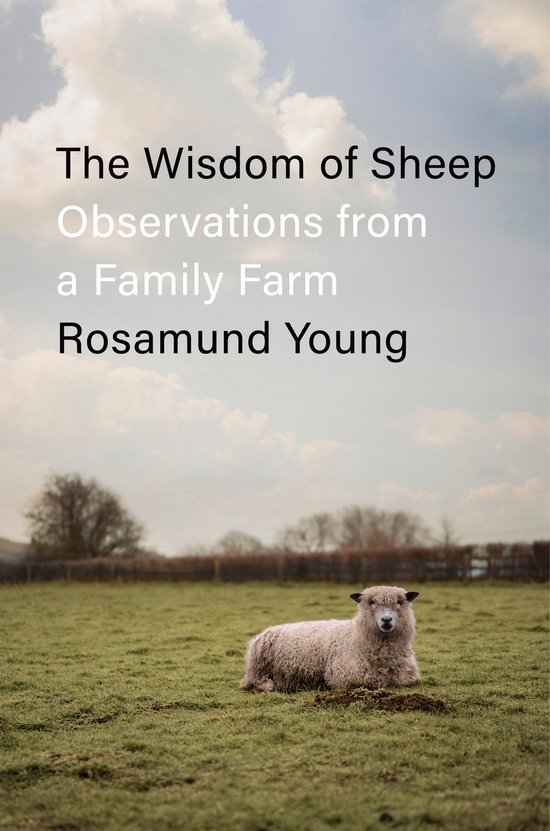 The Wisdom of Sheep - cover