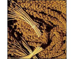 Oswalt Trosgierst - 5KG - Vogelsnack - Vogelvoer