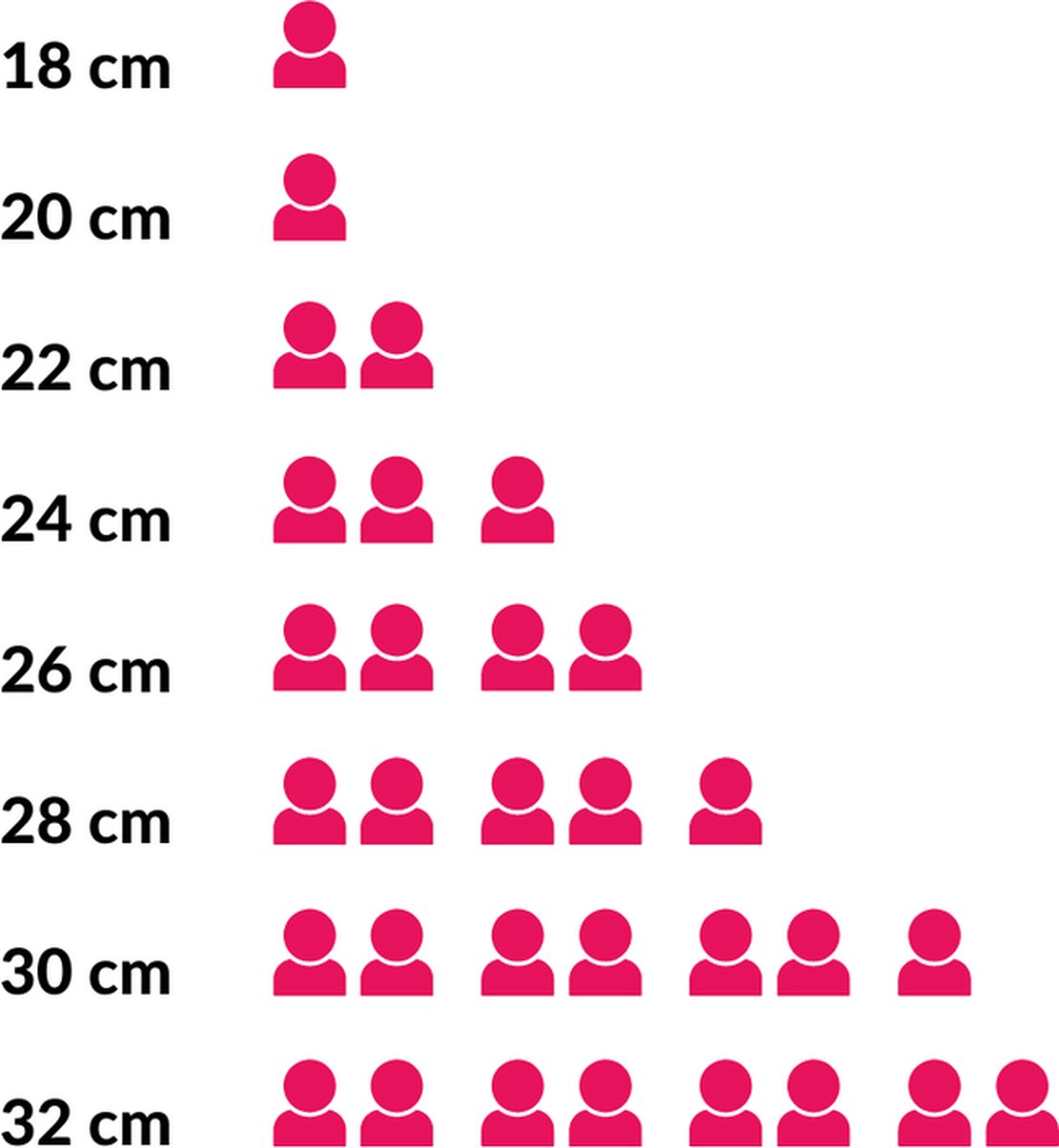 Rosle Koekenpan Silence Pro - ø 28 cm - Zonder anti-aanbaklaag