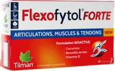 Tilman Flexofytol Forte 28 Tabletten