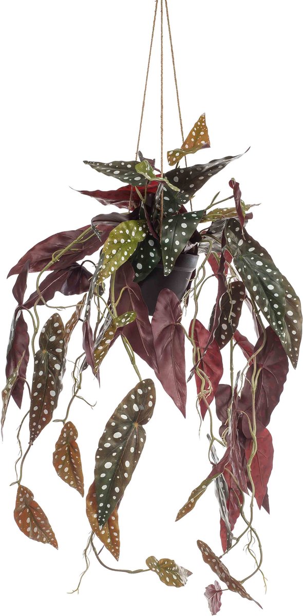 Emerald Kunst Hangplant in pot Begonia Maculata 80cm - Kunstplant voor binnen Groen
