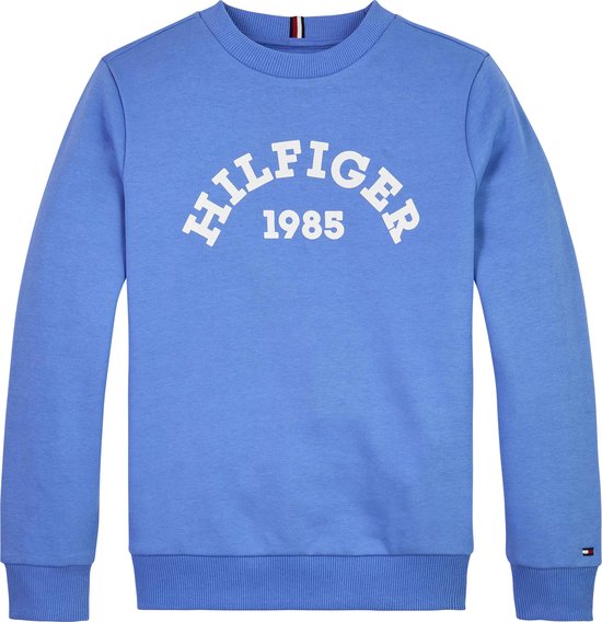 Tommy Hilfiger HILFIGER 1985 SWEAT-SHIRT Pull pour Garçons - Blue - Taille 12