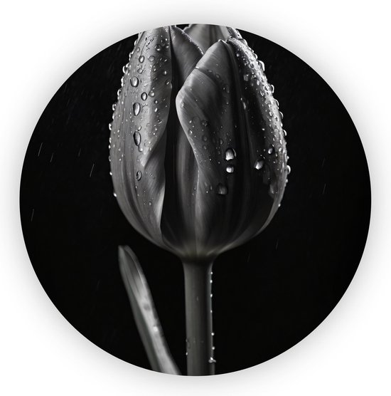 Tulp met regendruppels schilderij - Zwart wit schilderijen glas - Wandbord flora - Muurdecoratie klassiek - Schilderij rond - Decoratie woonkamer - 60 x 60 cm 5mm