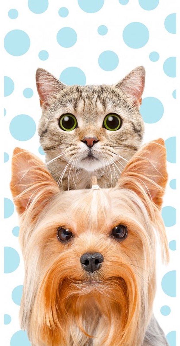 Animal Pictures Strandlaken Cat and Dog - 140 x 70 cm - Multi