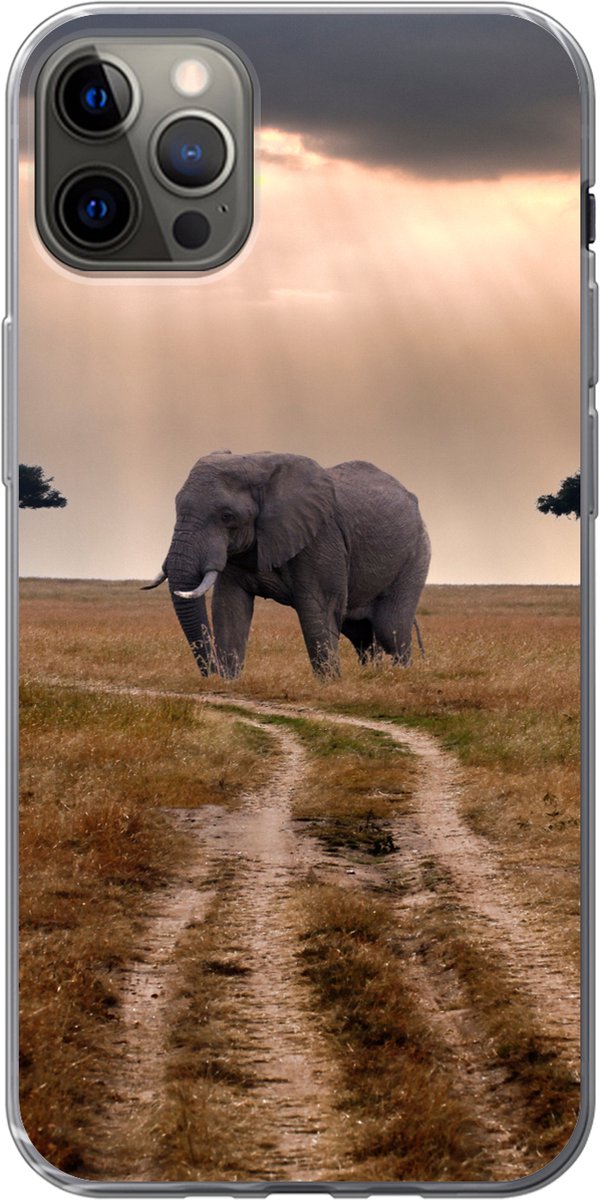 Telefoonhoesje Geschikt voor iPhone 12 Pro Max hoesje - Olifant - Dieren - Grasvlakte - Zon - Siliconen Telefoonhoesje Telefoonhoesje