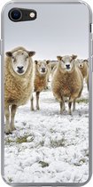 Geschikt voor iPhone 7 hoesje - Schapen - Wol - Sneeuw - Siliconen Telefoonhoesje
