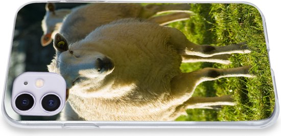 Telefoonhoesje Geschikt voor iPhone 11 hoesje - Schapen - Dieren - Wol - Siliconen Telefoonhoesje Telefoonhoesje