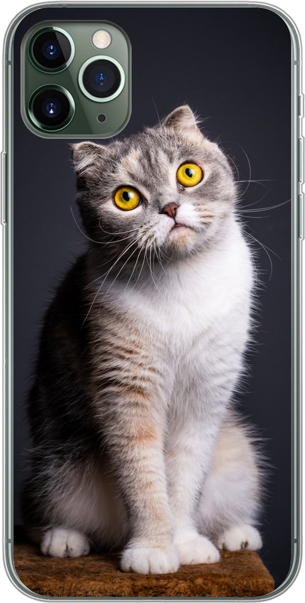 Telefoonhoesje Geschikt voor iPhone 11 Pro Max hoesje - Kat - Ogen - Licht - Siliconen Telefoonhoesje Telefoonhoesje