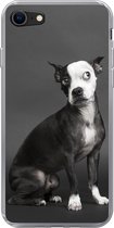 Geschikt voor iPhone 7 hoesje - Hond - Vlek - Portret - Siliconen Telefoonhoesje