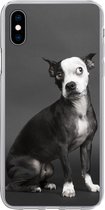 Geschikt voor iPhone Xs hoesje - Hond - Vlek - Portret - Siliconen Telefoonhoesje