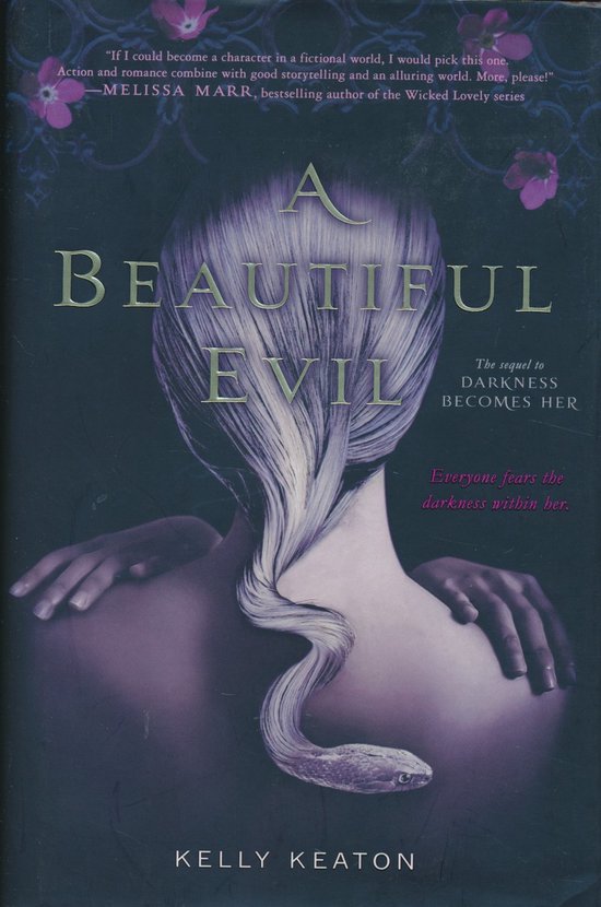A Beautiful Evil - cover