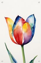 Tuinposter kleurrijke tulp - Aquarelverf posters - Poster bloem - Buiten - Tuinschilderijen voor buiten - Tuindecoratie wanddecoratie - 40 x 60 cm