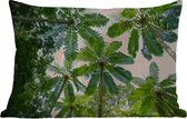 Buitenkussens - Tuin - Bomen en bladeren in jungle - 50x30 cm