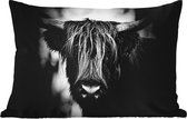 Buitenkussens - Schotse hooglander - Licht - Portret - Natuur - 60x40 cm - Weerbestendig