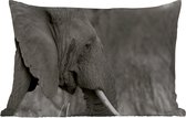 Buitenkussens - Tuin - Zwart-witte olifant - 60x40 cm