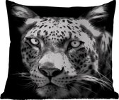 Buitenkussens - Tuin - Close-up Perzisch luipaard tegen zwarte achtergrond in zwart-wit - 40x40 cm